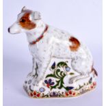 Royal Crown Derby imari paperweight Parson Jack Russell Terrier. 12cm high