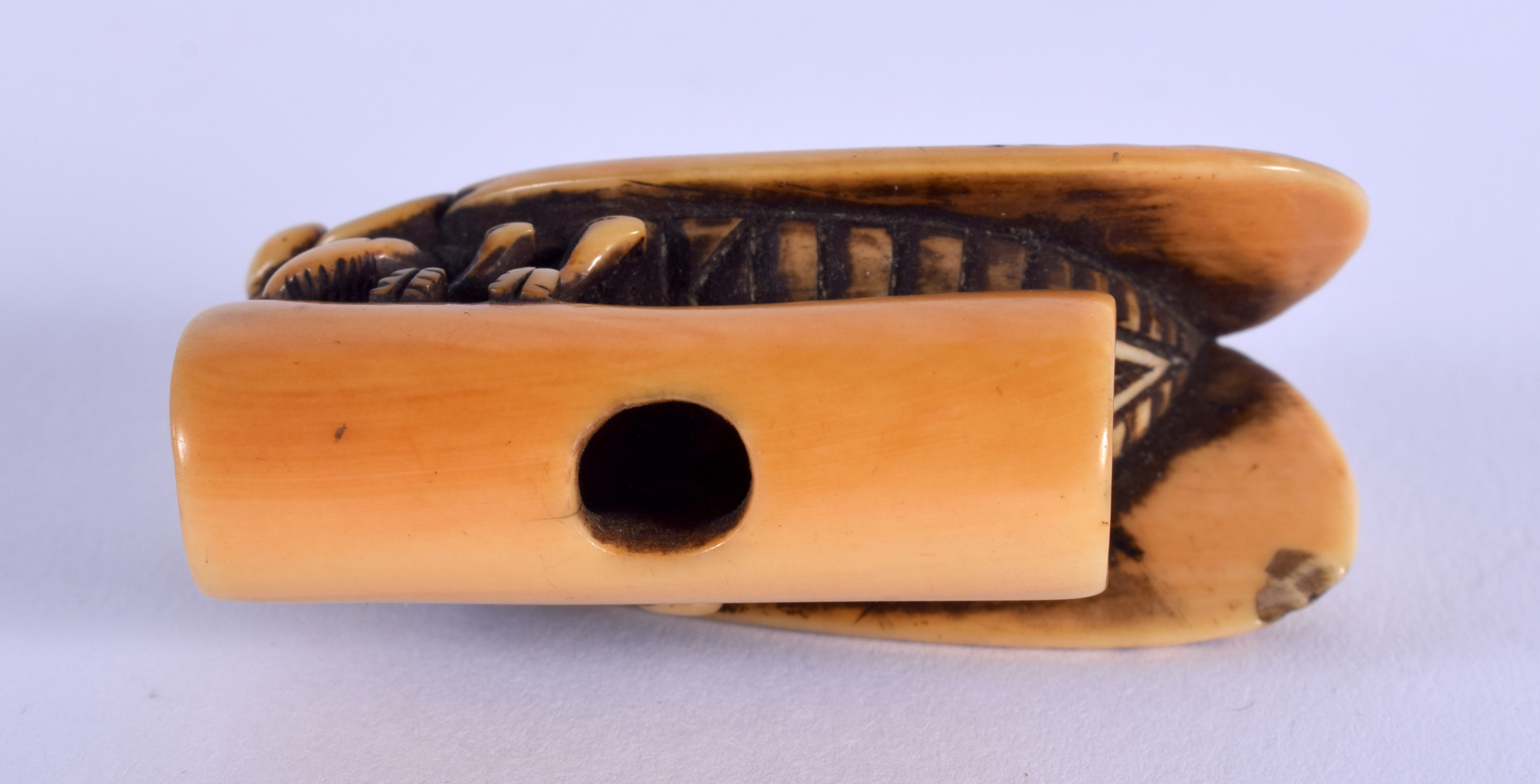 A LOVELY 18TH CENTURY JAPANESE MEIJI PERIOD CARVED IVORY NETSUKE modelled as a fly. 4.5 cm x 2.5 cm. - Image 3 of 3