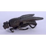 AN EARLY 20TH CENTURY EUROPEAN BRONZE FLY PAPERWEIGHT. 11 cm x 6 cm.