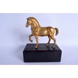 A EUROPEAN GRAND TOUR GILT DECORATED BRONZE HORSE After the Antique. Horse 15 cm x