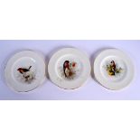 Royal Worcester set of three plates painted with a Bullfinch, Goldfinch or Robin by W. Powell, signe