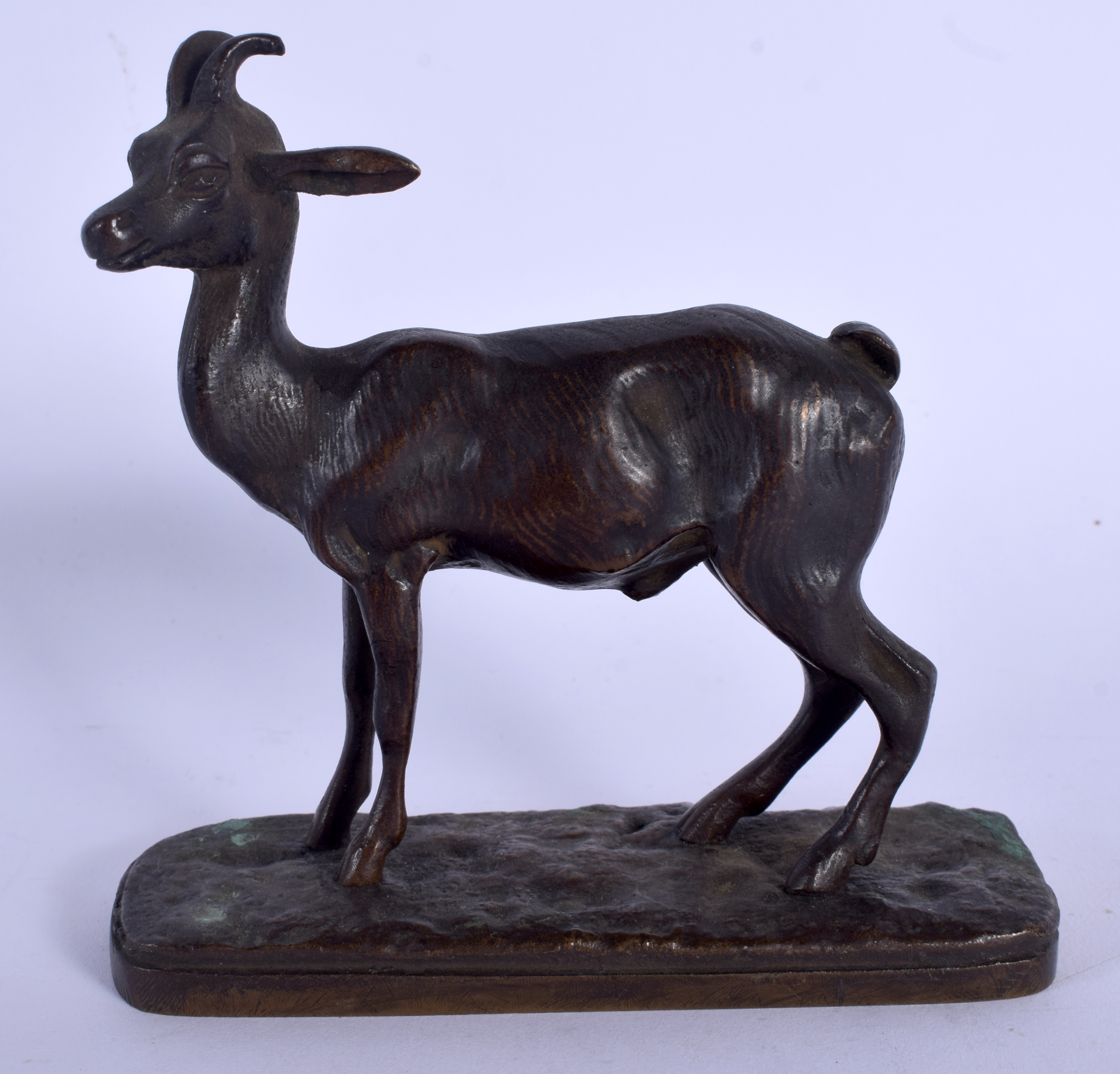 AN EARLY 20TH CENTURY EUROPEAN BRONZE FIGURE OF A KID modelled upon a rectangular plinth. 12 cm x 9