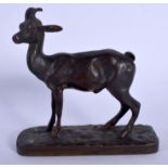 AN EARLY 20TH CENTURY EUROPEAN BRONZE FIGURE OF A KID modelled upon a rectangular plinth. 12 cm x 9