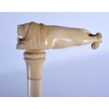 A 19TH CENTURY CONTINENTAL CARVED IVORY LION HEAD WALKING CANE the shaft of gnarled form. 76 cm long