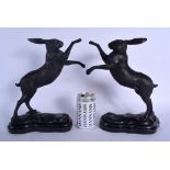 A PAIR OF CONTEMPORARY BRONZE FIGURES OF BOXING HARES. 33 cm x 15 cm.