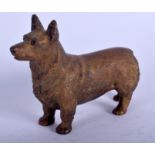 AN ANTIQUE AUSTRIAN COLD PAINTED BRONZE DOG. 9 cm x 7 cm.