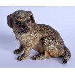 A 19TH CENTURY AUSTRIAN COLD PAINTED BRONZE FIGURE OF A DOG Attributed to Franz Xavier Bergmann. 8 c