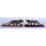 A RARE PAIR OF 19TH CENTURY CONTINENTAL CARVED RHINOCEROS HORN FIGURE OF A ROAMING TIGERS upon a wo