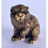 AN EARLY 20TH CENTURY JAPANESE MEIJI PERIOD CARVED IVORY NETSUKE modelled as a dog. 3 cm x 2.75 cm.