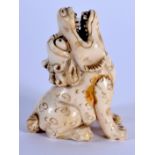 AN EARLY 20TH CENTURY JAPANESE MEIJI PERIOD CARVED IVORY NETSUKE formed as a rearing lion. 4 cm x 2.