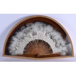 A 1920S FRAMED FEATHER FAN with a painted wood stems. Fan 55 cm wide.