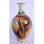 Royal Worcester amphora shaped vase painted with a Peacock date code 1908, shape 286 H. 11.5cm high