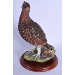 A BORDER FINE ARTS FIGURE OF A GAME BIRD Red Grouse. 28 cm high.