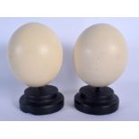 A PAIR OF OSTRICH EGGS ON STANDS. Egg 14 cm x 10 cm.