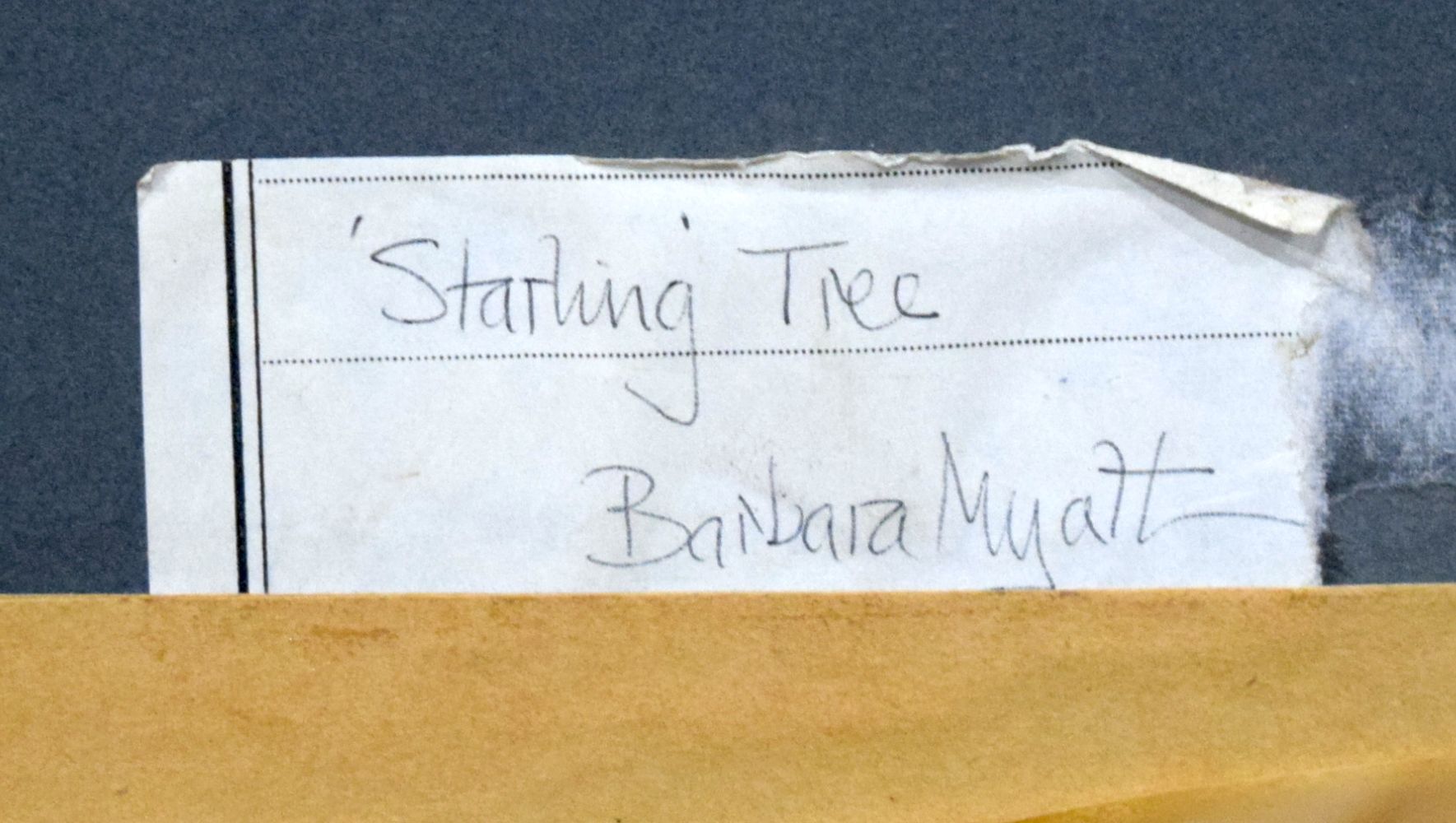 Barbara Myatt (20th Century) Watercolour, Starting Tree. Image 39 cm x 44 cm. - Image 4 of 4
