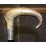 A 19TH CENTURY CONTINENTAL CARVED RHINOCEROS HORN HANDLED WALKING CANE with silver mounts. 83 cm lon