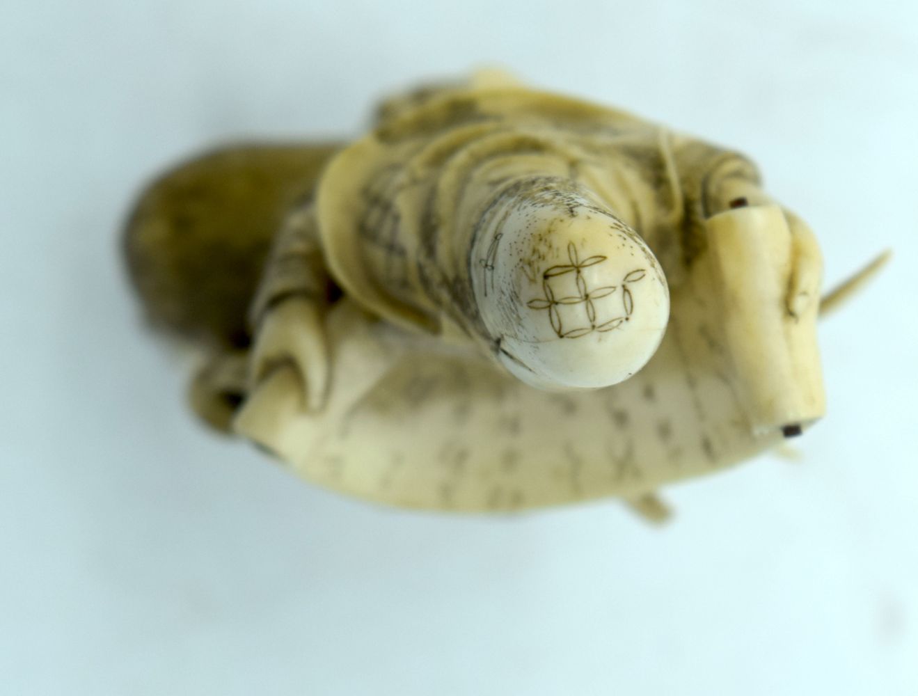 A 19TH CENTURY JAPANESE MEIJI PERIOD CARVED IVORY OKIMONO modelled holding a scroll upon a deer. 10 - Bild 6 aus 6