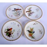 Royal Worcester set of four jewel bordered plate painted with naturalistic birds by John Hopewell, d