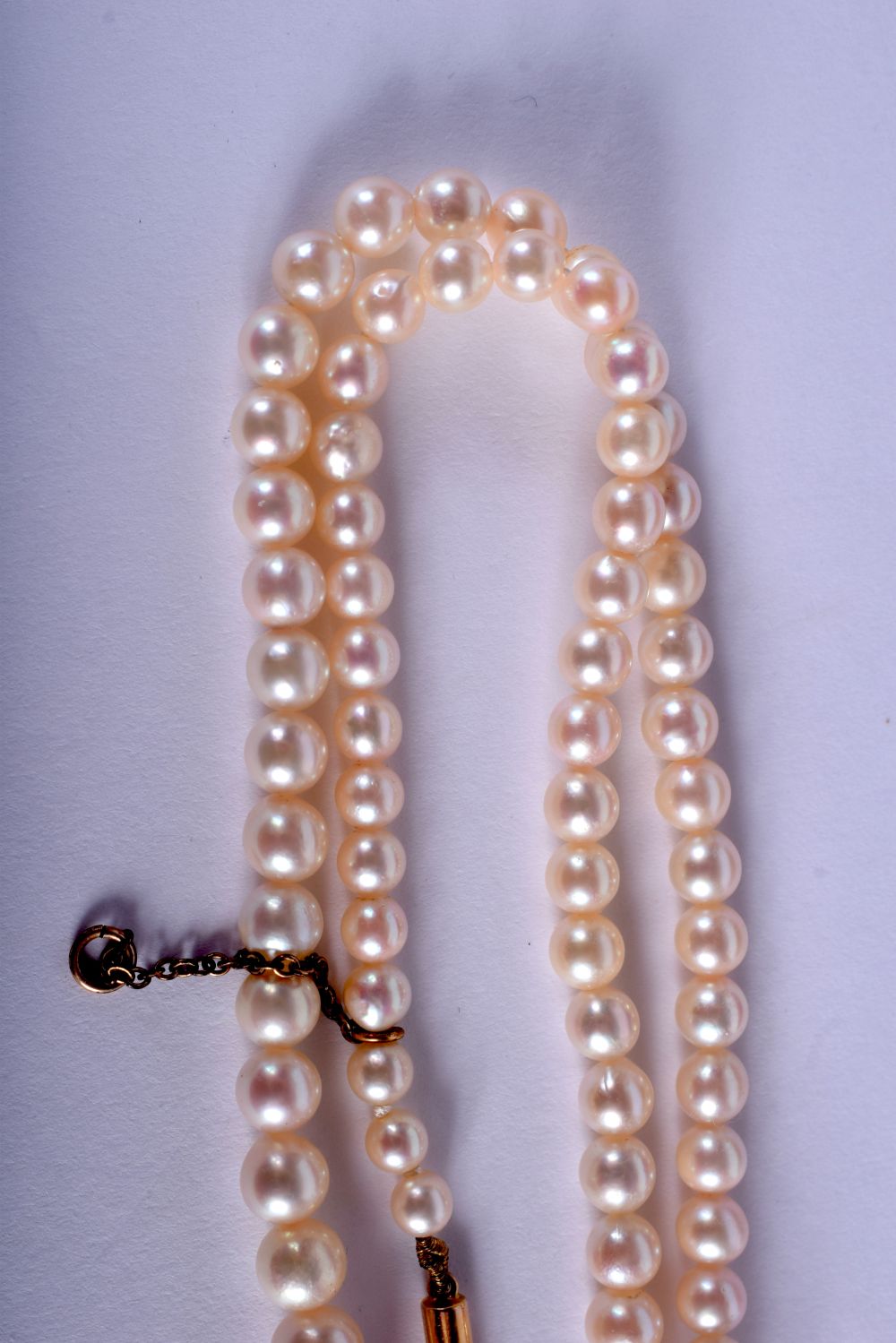 A CASED EDWARDIAN 9CT GOLD PEARL NECKLACE. 40 cm long. - Image 2 of 2