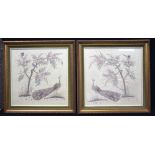 A pair of Framed Chinese silk panels depicting peacocks 47 x 47cm (2).
