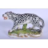 A 19TH CENTURY CONTINENTAL PORCELAIN FIGURE OF A SPOTTED LEOPARD modelled upon an oval plinth. 11 cm