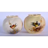 Royal Worcester spirally moulded globular pot painted with a blue tit on a raised gilt branch and a