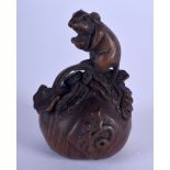 A JAPANESE BOXWOOD RAT NETSUKE. 5 cm x 3 cm.