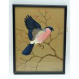 Ralston Gudgeon 1910-1984 Framed watercolour of a blue bird 18 x 25cm