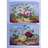 19th c. English porcelain pair of flowers painted plaques. 22.5cm x 16cm (2)