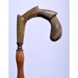 A 19TH CENTURY CONTINENTAL CARVED RHINOCEROS HORN HANDLED PARASOL with gnarled handle. 85 cm long.