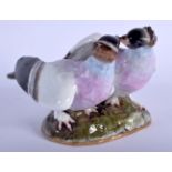 A 19TH CENTURY MEISSEN PORCELAIN FIGURE OF PIGEON modelled upon a naturalistic outcrop. 14 cm x 10 c