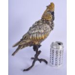 A CONTEMPORARY CONTINENTAL COLD PAINTED BRONZE BIRD. 29 cm x 21 cm.