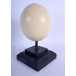 AN OSTRICH EGG upon an ebonised base. 15 cm x 8 cm.