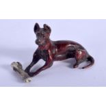 A CONTINENTAL COLD PAINTED BRONZE DOG. 6.5 cm wide.