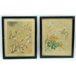 A framed pair of Chinese watercolours 20 x 15cm. (2).