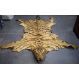 A LATE VICTORIAN TAXIDERMY FULL TIGER SKIN with teeth and claws. 330 cm x 210 cm. Provenance: Acquir