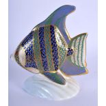 Royal Crown Derby paperweight of an angel fish. 12cm high