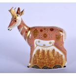 A rare Royal Crown Derby paperweight of a of a pronghorn antelope, a limited edition of 950. 16.5cm