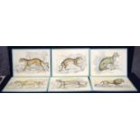 A set of six prints of stylised big cats 35 x 30cm. (6)