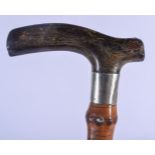 A 19TH CENTURY CONTINENTAL CARVED RHINOCEROS HORN HANDLED WALKING CANE. 88 cm long.