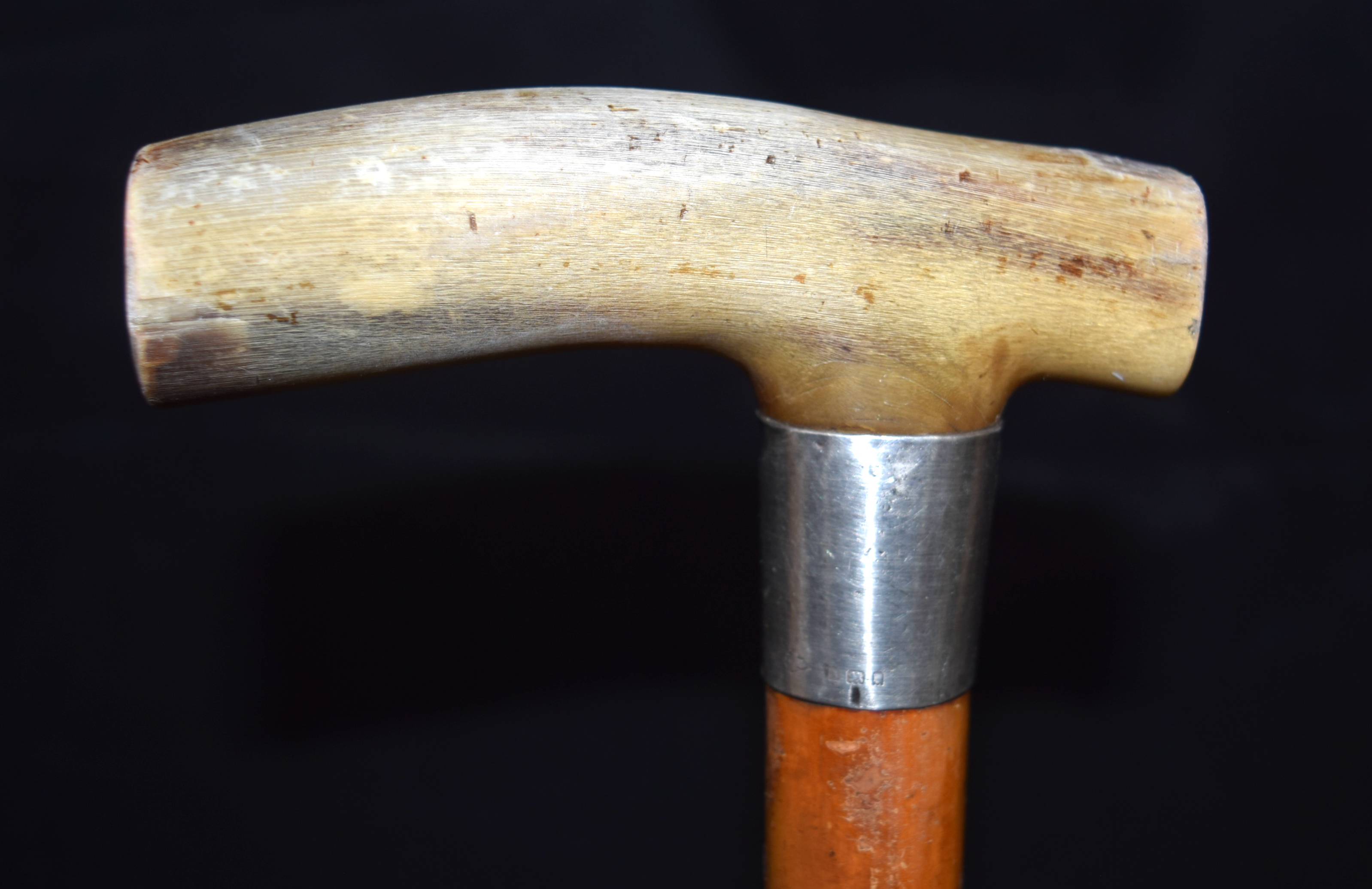 TWO 19TH CENTURY MIDDLE EASTERN CARVED RHINOCEROS HORN HANDLED WALKING CANES one with white metal mo - Bild 3 aus 5