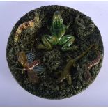 A CHARMING PORTUGUESE F GOMES D'AVELLAR MAJOLICA TOAD DISH overlaid with insect. 18 cm diameter.