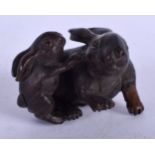 A JAPANESE BOXWOOD HARE NETSUKE. 4.5 cm x 4 cm.