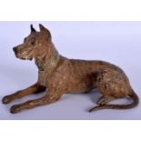 A 19TH CENTURY AUSTRIAN COLD PAINTED BRONZE FIGURE OF A SEATED GREAT DANE by Mauritz Spitz. 16 cm x