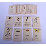 A CHARMING SET OF EARLY 20TH CENTURY WATERCOLOUR CARDS depicting insects, flowers etc. (qty)