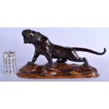 A LATE 19TH CENTURY JAPANESE MEIJI PERIOD BRONZE OKIMONO modelled as a tiger. Bronze 36 cm x 18 cm.