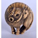 AN EARLY 20TH CENTURY JAPANESE MEIJI PERIOD CARVED BONE NETSUKE formed as an ox. 4 cm x 3.5 cm.