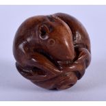 A JAPANESE TAISHO PERIOD CARVED BOXWOOD RAT NETSUKE of cOiled form. 2.75 cm wide.