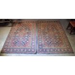 A LOVELY PAIR OF EARLY 20TH CENTURY MIDDLE EASTERN CARPETS decorated with foliage and vines. 218 cm