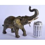 A LARGE CONTEMPORARY COLD PAINTED BRONZE FIGURE OF AN ELEPHANT modelled roaming. 34 cm x 24 cm.